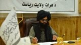 په هرات ولایت کې د طالبانو د یوه چارواکي مخکینی انځور- عکس ارشیف