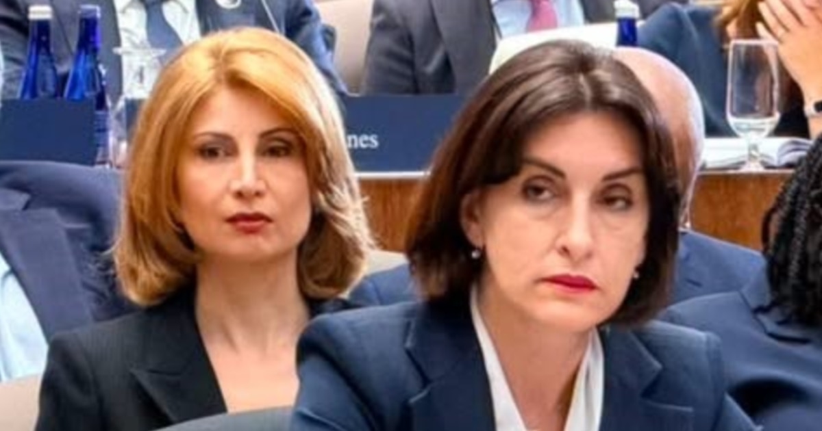 რადიკალური ჯგუფები ხშირად დემოკრატიის სახელით მოქმედებენ - ბოჭორიშვილი აშშ-ში მინისტერიალზე