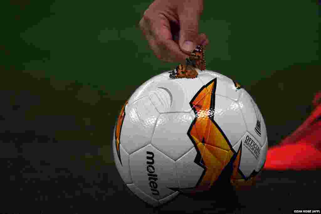 A Chelsea assistant coach picks up a butterfly from a football during a training session at the Baku Olympic Stadium ahead of his team&#39;s UEFA Europa League final game against Arsenal. (AFP/Ozan Kose)