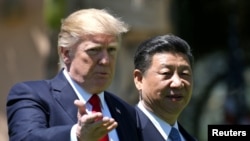 Президент США Дональд Трамп и лидер Китая Си Цзиньпин (справа) во Флориде. 7 апреля 2017 года