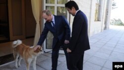 Russian President Vladimir Putin (left) and Japanese Prime Minister Shinzo Abe are seen at their last meeting in Sochi, Russia, in February 2014. 