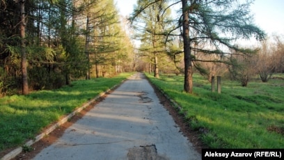 Жизель Бундхенді ұрып жатыр