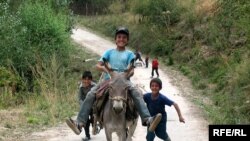 Tajik children play with a donkey -- whose value has since tripled.