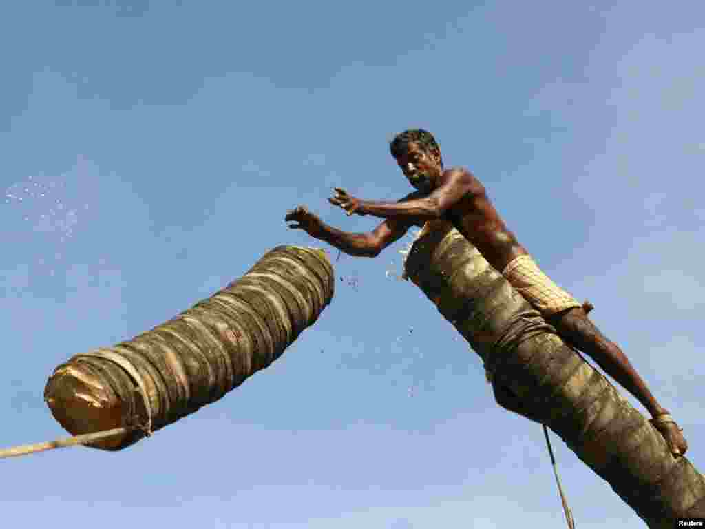 Anandan, 56, pushes a section of a coconut tree after chopping it off along a main road in the southern Indian city of Kochi on November 29.