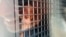 Armenia- Jailed opposition figure Aregnaz Manukian smiles to supporters while being brought to an Investigative Committee building in Yerevan, August 18, 2026. (Photo from Manuk Sukiasian’s Facebook page)