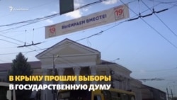 Конь в пальто, «вбросы» и Цой. Как прошли выборы в Крыму (видео)