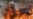 Three Die Amid Greek Protests, Rioting