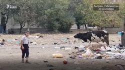 Ангрен – город призрак. Сколько еще таких заброшенных городов по стране?