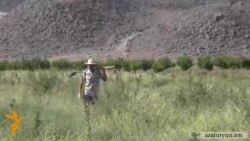 «Հայկական միրգը» արժանահավատ չի համարում ՎՊ-ի բացահայտումները