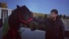 Житель Кыргызстана подарил Кадырову лошадь с именем Аллаха