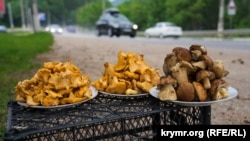 Торговля грибами у дороги, иллюстративное фото