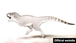 Chenanisaurus barbaricus, Bat universitetining Milner nomidagi Tadrijiy rivojlanish markazi xodimi, doktor Nik Longrich taqdim etgan surat. Universitet rasmiy saytidan olindi.