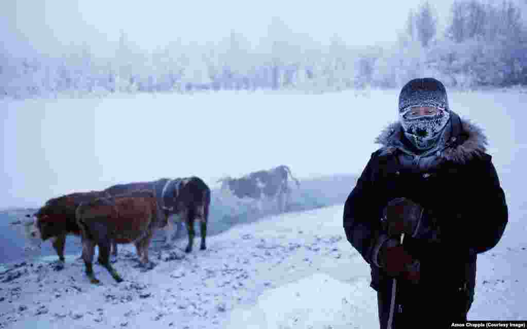 Oymyakon means &quot;nonfrozen water&quot; in the local language. Thanks to this spring, which remains unfrozen throughout the winter, it is a welcome stop for herders of reindeer and cattle.&nbsp;