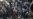 Nine Dead In Pakistani Bombing