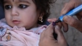 An Afghan girl receives a polio vaccine in the southern Afghan city of Kandahar.