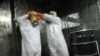 Iran: EU Demands Halt To Nuclear Work, Attacks Tehran's Human Rights Record