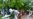 Floods Nix Pakistan PM's U.S. Visit