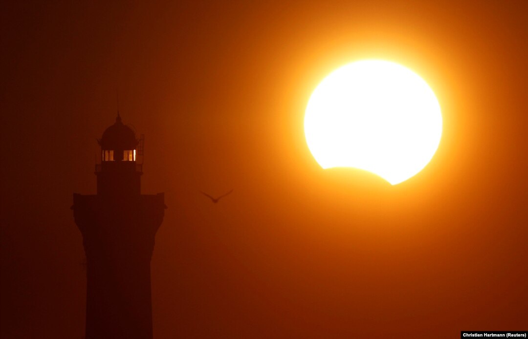 Latinaning katta eshaklarining katta fotosuratlari Latinaning katta eshaklarining katta fotosuratlari