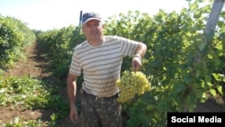 Крымчанин Николай Хавхун на своем винограднике в Первомайском районе Крыма