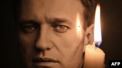 14 თებერვალს ნავალნის ბიოლოგიური ნიმუშების ანალიზზე დაყრდნობით ხუთი ევროპული ქვეყნის წარმომადგენლებმა დაასკვნეს, რომ პოლიტიკოსი მოწამლეს სასიკვდილო შხამით, რომლის მიღება სამხრეთამერიკული შხამიანი ბაყაყის კანიდან შეიძლება.