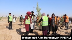 کمپاین غرس نهال در جوزجان