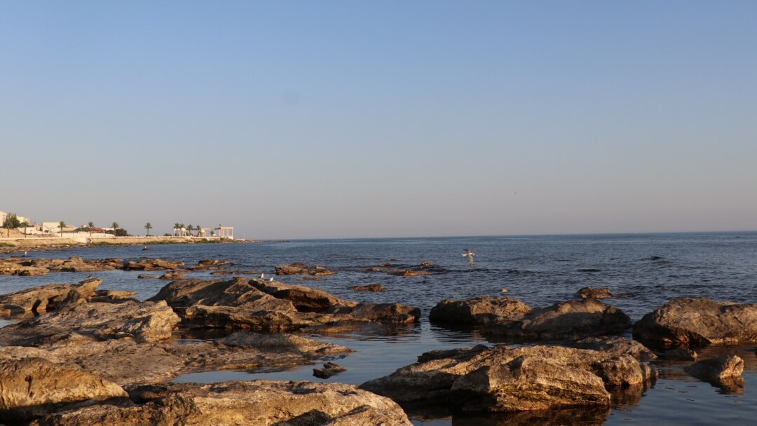 Үлкен кеуделі әйелдермен үйдегі порно