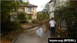 Повалене штормовим вітром дерево на вулиці Севастополя, архівне фото