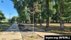 Высохшее дерево в парке у ДКП в Симферополе. Симферополь, август 2025 года