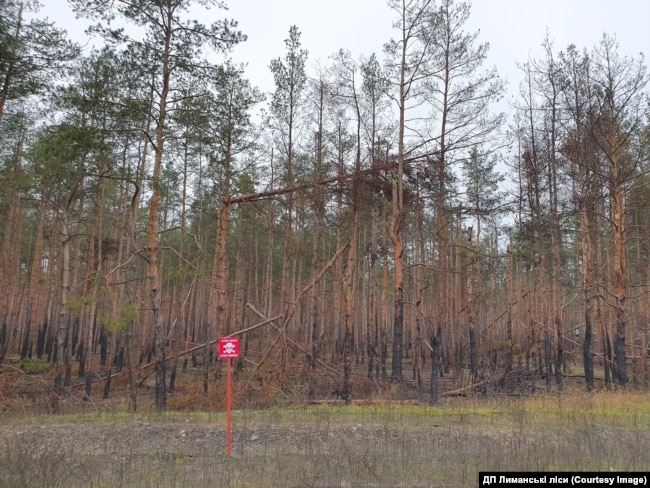 Заміновані Лиманські ліси