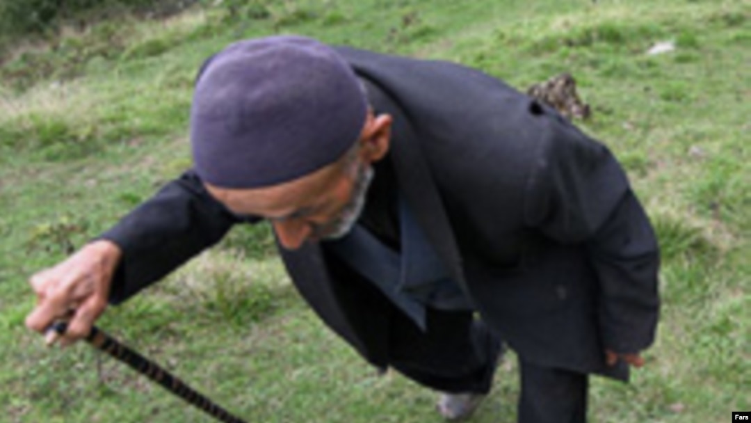 Azərbaycanda şəcərəni tanımaq ənənəsi niyə zəifdir?