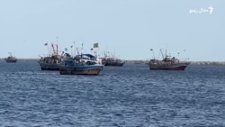 د منځني ختیځ جګړې پاکستاني کب نیوونکي اغېزمن کړي دي