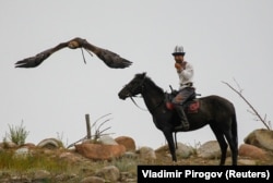 Учасник мисливського фестивалю кочівників «Салбурун» випускає беркута під час традиційного у селі Боконбаєво Іссик-Кульської області Киргизстану, 3 серпня 2024 року
