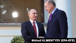 Արխիվ 