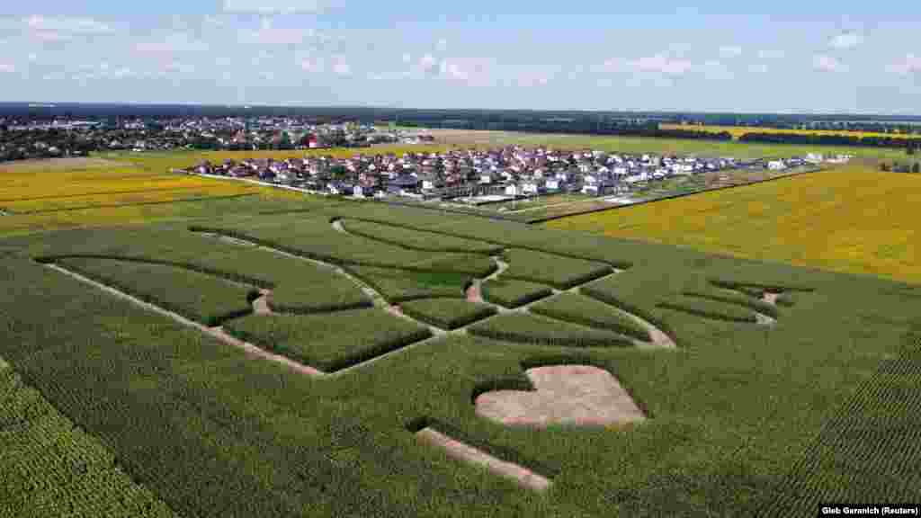 &nbsp;An aerial view shows cornstalks planted by Ukrainian farmers in the shape of the national emblem, a trident, ahead of the country&#39;s 30th anniversary of independence, in a field near Boryspil International Airport outside Kyiv.
