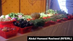 تصویر آرشیف: نمایشگاه محصولات زراعتی 