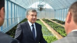 Мирзиëев Наманганда. Президент ўтадиган йўлдаги ҳаëт “уч кунга тўхтатилди”