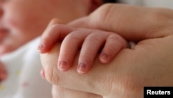 საილუსტაციო ფოტო 