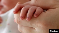 Иллюстрация үчүн колдонулган сүрөт 