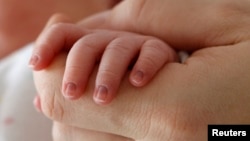 Иллюстрациялык сүрөт.