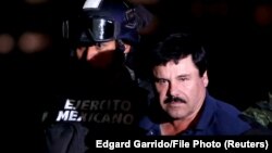 Մեքսիկա - Խոակին Էլ Չապոյին ուղեկցում են դատախազություն, արխիվ
