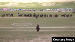 وزلوبه اوس د افغانستان په بېلابېلو ولایتونو کې ګڼ مینه وال لري.