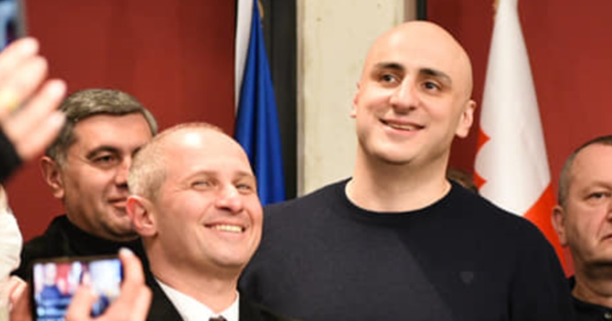 გამოდის, ვინც დემოკრატიულ უკუსვლას გმობს, „საბოტაჟის“ ჩამდენად ჩაითვლება - მელიას ადვოკატი ახალ ბრალზე