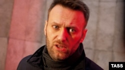 Алексей Навальный
