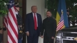 Զելենսկի-Պուտին հանդիպում կլինի՞