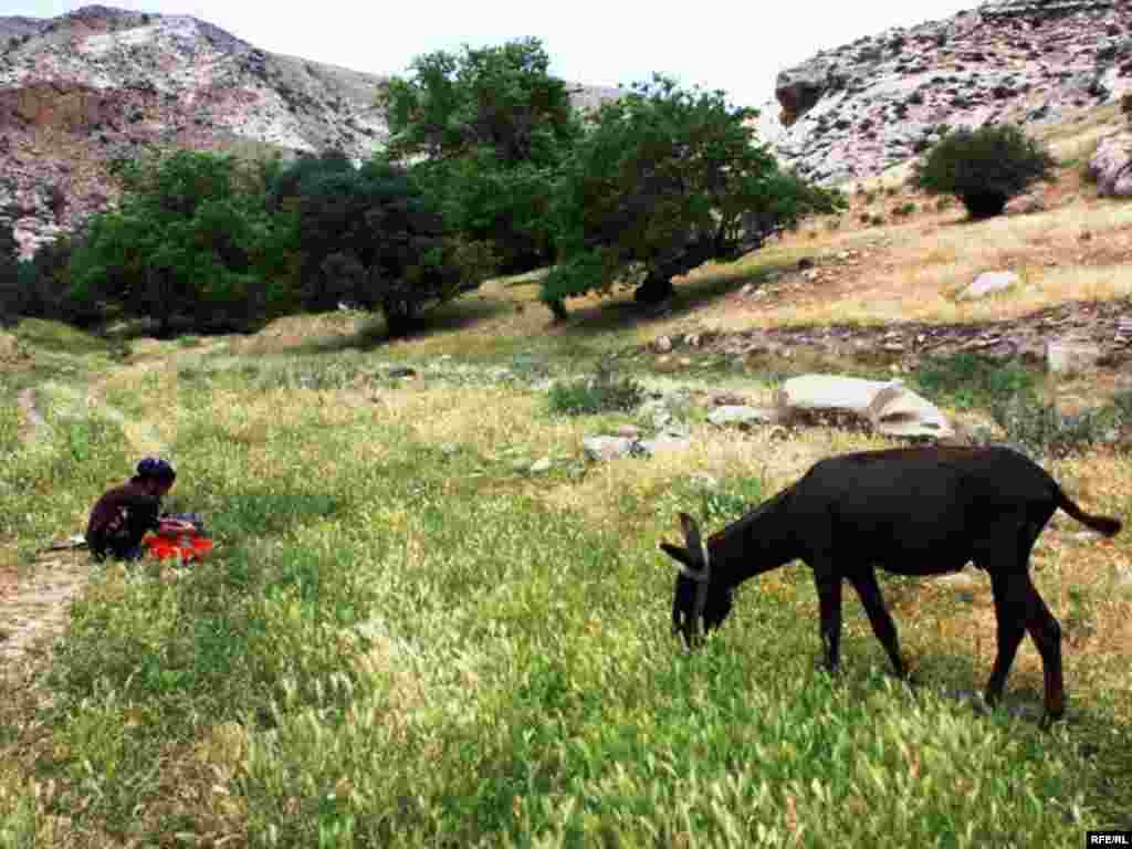 Türkmenistanyň çar tarapyndan #9