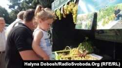 Відвідувачі «Свята винограду і вина» в Івано-Франківську