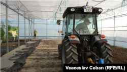 Sera facultății de Științe Agricole de la Universitatea Tehnică a Moldovei, dotată cu tehnologii și laboratoare moderne