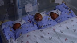 Cегоник дар таваллудхонаи Шаҳринав