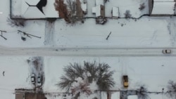 “Украинаны жаңылыктардан көрүп жүрөгүм ооруйт". Ысык-Көлдү жердеген украиндер 