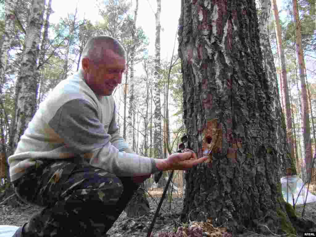 Ukraine -- Birch juice, Chernigiv region, 13Apr2010 - Березовий сік